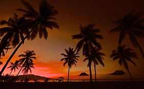 Coconut Garden Beach Resort